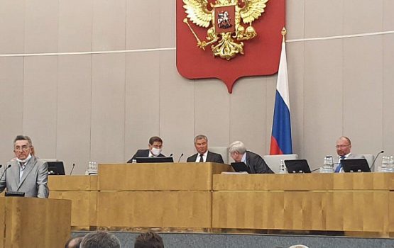 После принятия поправок в Конституцию Володин потребовал «другой ответственности»