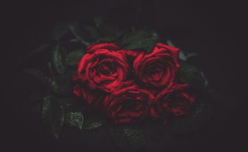 22 июня – День памяти и скорби