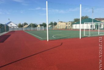 Строительство спортплощадок в Саратове позволит распространить инициативу на федеральный уровень