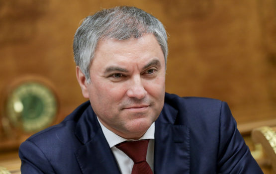 Володин обсудит с саратовской делегацией национальные проекты