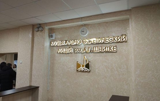 В лицее имени Шнитке ждут визита Володина