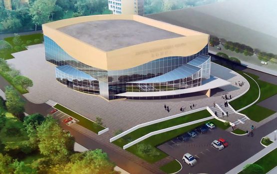 Дворец водных видов спорта планируют достроить летом 2020 года