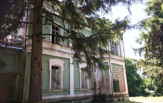 Проект Володина поможет сохранить уникальную усадьбу в Падах