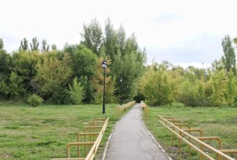 Заводчане благодарят Володина за идею переобустройства парка Марины Расковой