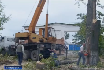 В городском парке Петровска начались масштабные работы главной зоны отдыха