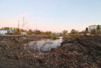 Общественник: Благоустройство парка Расковой станет подарком для горожан