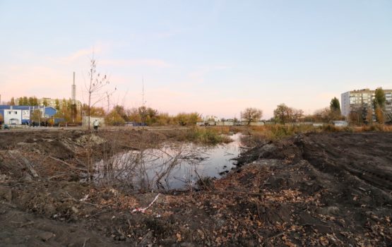 Общественник: Благоустройство парка Расковой станет подарком для горожан