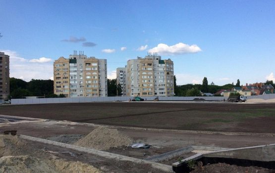 Панков: Вячеслав Володин помогает создать жителям качественно иные условия для занятий спортом