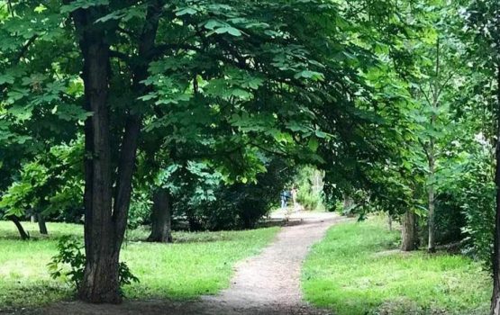 В Саратове на сэкономленные деньги дополнительно благоустроят 3 общественных пространства