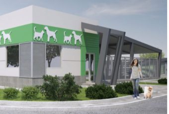 О приютах для бездомных животных