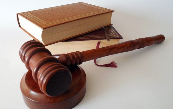 В суд передан иск по возвращению в государственную собственность 80% земель САЗа