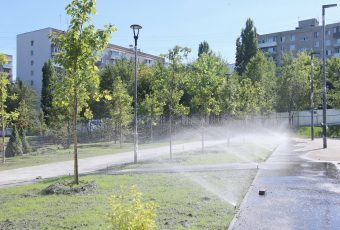 В ходе своего визита Вячеслав Володин предложил программу благоустройства парков и скверов Саратова