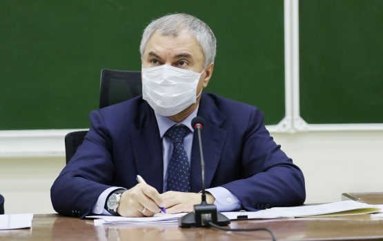 Вячеслав Володин провел совещание по ситуации с коронавирусом в регионе