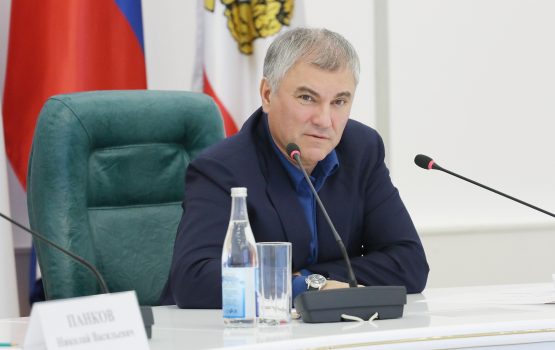 Вячеслав Володин призвал воссоздавать разрушенные исторические дома