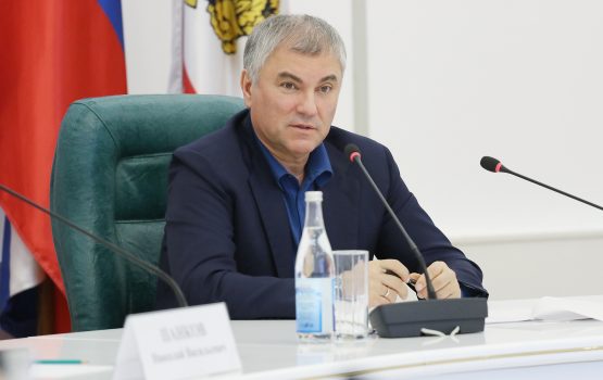 Вячеслав Володин провел встречу с представителями бизнес-сообщества региона