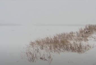 В 2021 году в Саратове начнется строительство горпарка и аквапарка