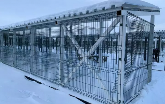 Приют для собак в Саратове. Рабочие начали отделку помещения