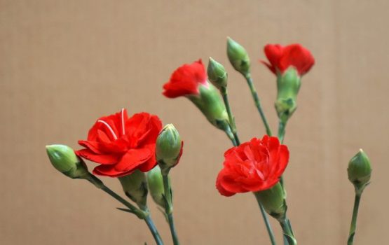 Низкий поклон и вечная благодарность защитникам Родины