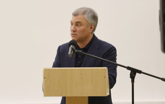 Володин раскритиковал тех, кто давал разрешение на установку ларька в центре Вольска