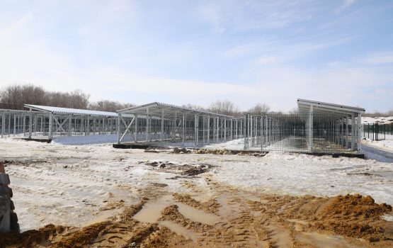В Саратове сэкономили более 800 тысяч при строительстве приюта для животных