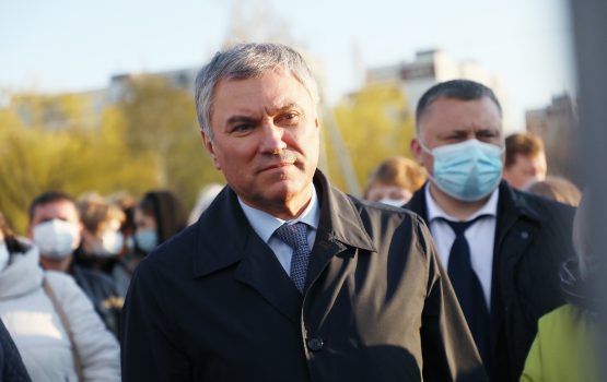 Володин поручил проанализировать законодательство по обороту оружия