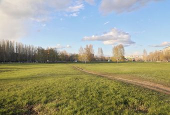 Парк, тротуары и спорт площадки появятся в Балакове