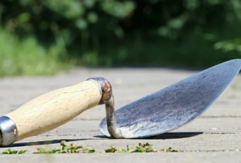 Балаково ждет волна развития