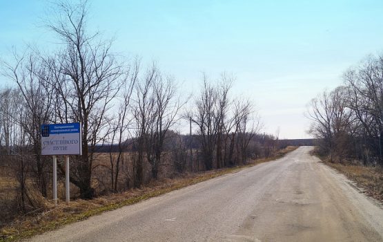 В Саратовской области отремонтируют дорогу в «средне-ужасном» состоянии