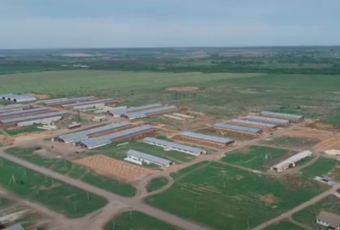 Жителям Новых Бурасов предложили помощь два фермера