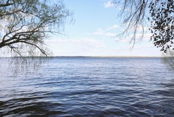 В Саратове летом откроется новый пляж