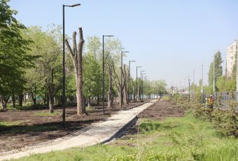 Продолжается реконструкция парка имени Гагарина