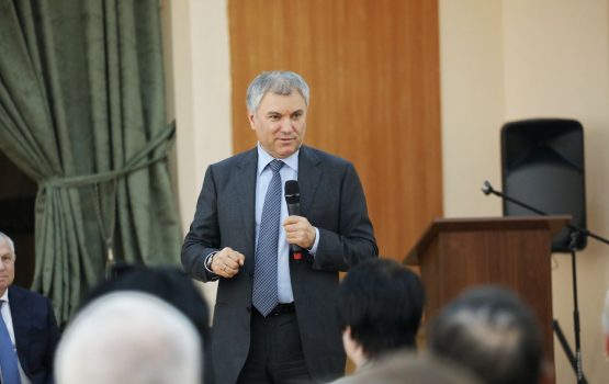 Володин – областным депутатам: «Каких команд-то ждете?»