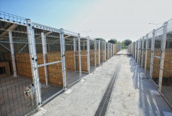 Новый приют для животных принял первых питомцев