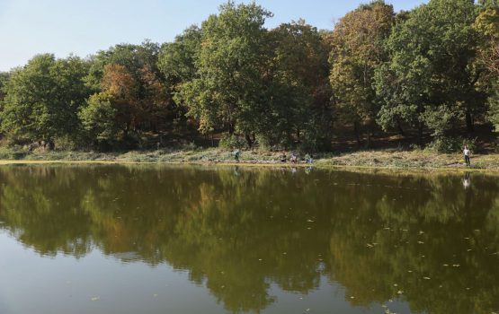 «Светлый» дождался чистой воды