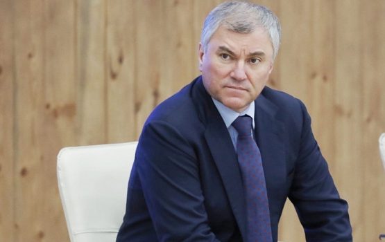 Вячеслав Володин поддержал идею о снижении ставок по микрозаймам