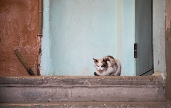 Саратовская область дополнительно получит более 4 млрд рублей