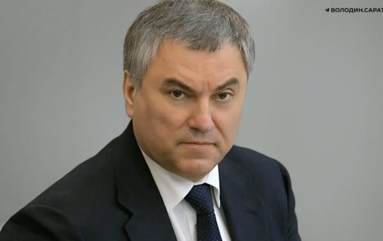Володин высказал свою позицию по обращению от сотрудников скорой помощи Базарного Карабулака