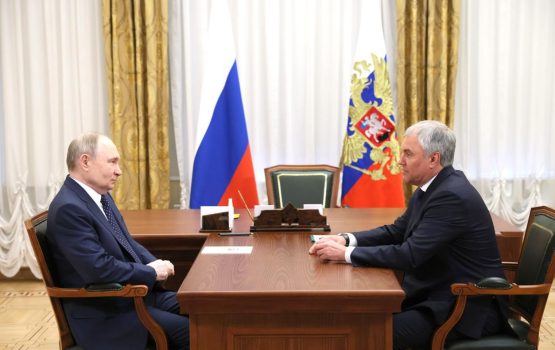 Президент провёл рабочую встречу с Председателем Государственной Думы Вячеславом Володиным