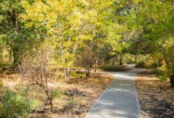 Володин – саратовским чиновникам: зачем закупать дороже…