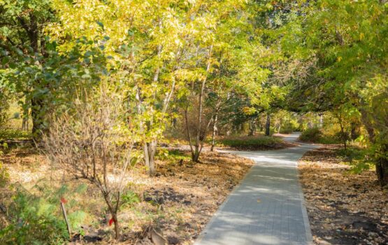 Володин – саратовским чиновникам: зачем закупать дороже…