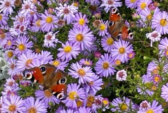 Осень в Саратовской области