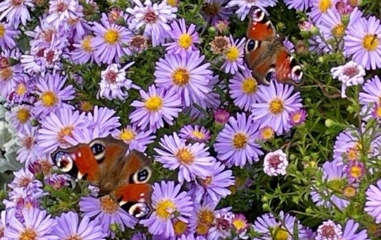 Осень в Саратовской области