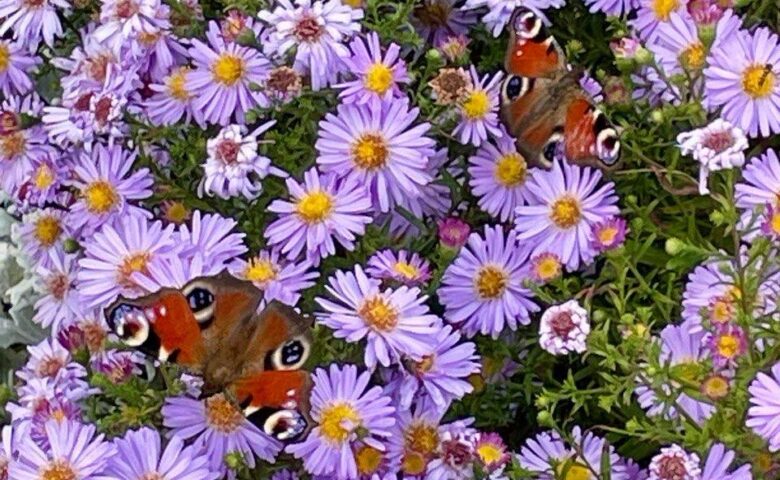 Осень в Саратовской области