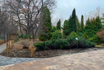 Володин: Ботанический сад СГУ готов к открытию