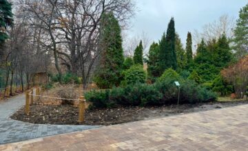 Володин: Ботанический сад СГУ готов к открытию