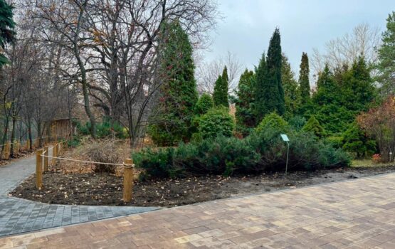 Володин: Ботанический сад СГУ готов к открытию