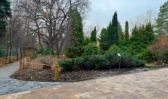 Ботанический сад СГУ открывается для посещения