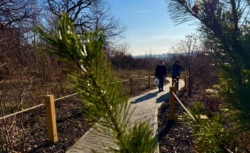 Володин: найдено решение по продолжению реконструкции Ботанического сада