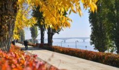 Обращения подписчиков