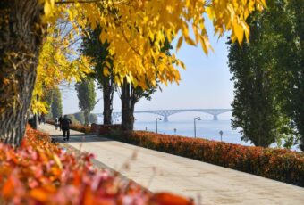 Обращения подписчиков